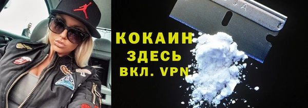 прущая мука Вяземский