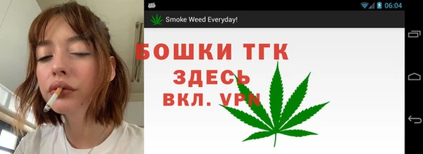 прущая мука Вяземский