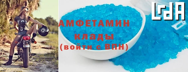 прущая мука Вяземский