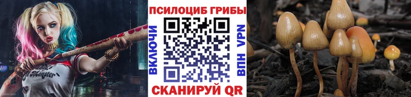 площадка формула  Вятские Поляны  omg вход  Галлюциногенные грибы MAGIC MUSHROOMS  как найти закладки 