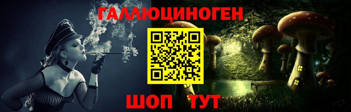 Вятские Поляны  Псилоцибиновые грибы прущие грибы  Вход с VPN 